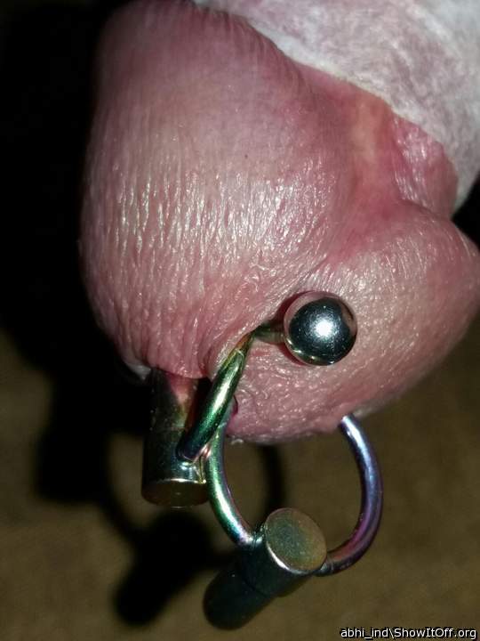 penis shaft