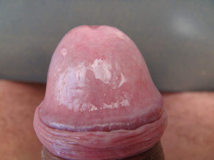 Photo of a snake from sivad666