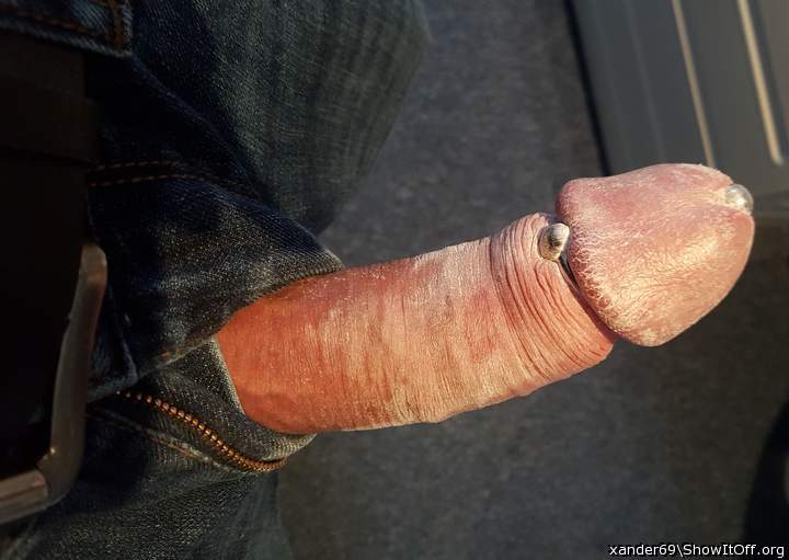 Photo of a bat from xander69