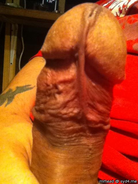 Photo of a bat from Mrhead