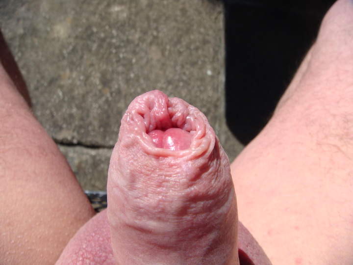 Photo of a schlong from sivad666