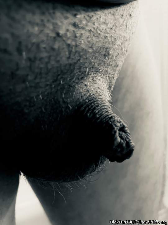 Amazing picture of your little dick