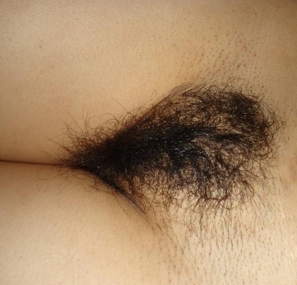 Really excellent bush   