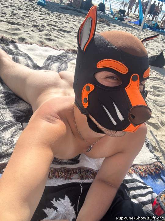 Just a naked beach dog doing naked beach dog things