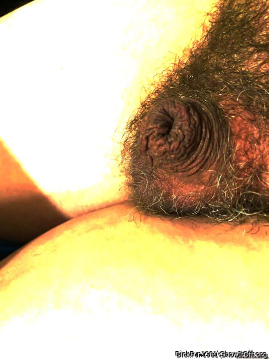 Photo of a tool from DickFun1981