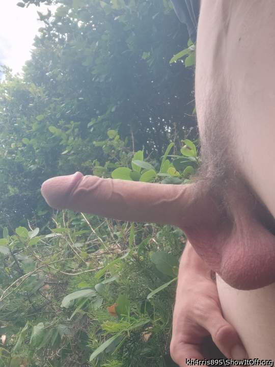 amazing cock and balls! 