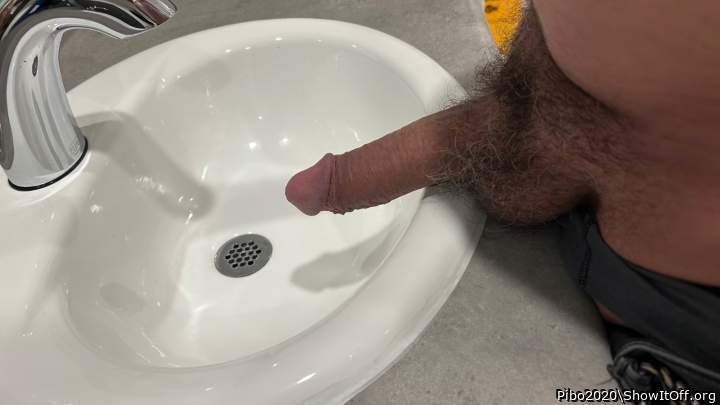 Photo of a middle leg from Pibo2020