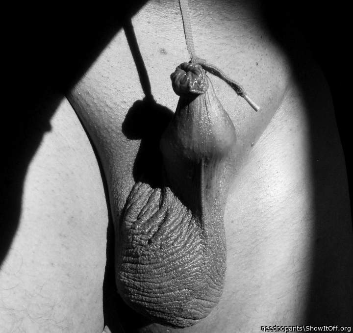 Testicles Photo from neednopants