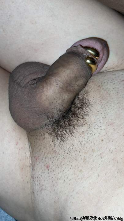 Photo of a cock from eusay1587