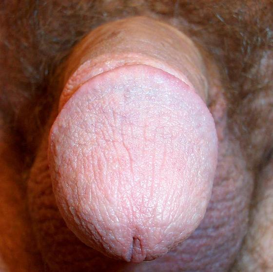 Photo of a pecker from lilsoftee