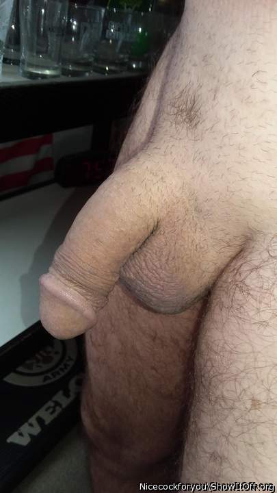 Nice fat soft cock...