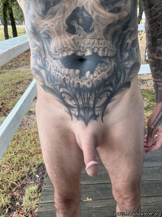 Photo of a bat from INKED13