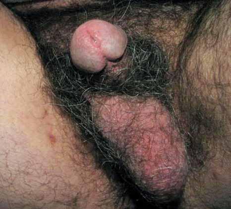 I wanna Suck those Hairy Nuts!