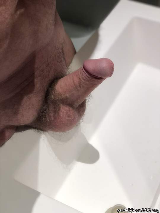 Stand up, little cock !