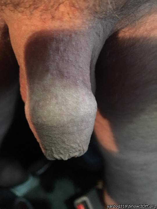 Photo of a equipment from yardog319
