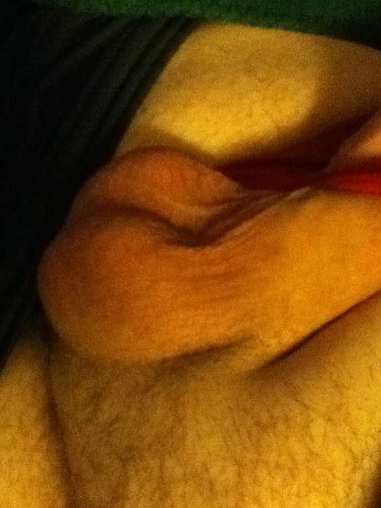 Testicles Photo from PoopSmith