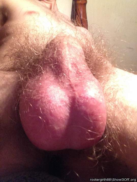 GORGEOUS LICKABLE BALLS    