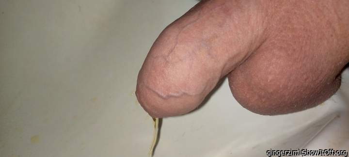 Adult image from gingerzim