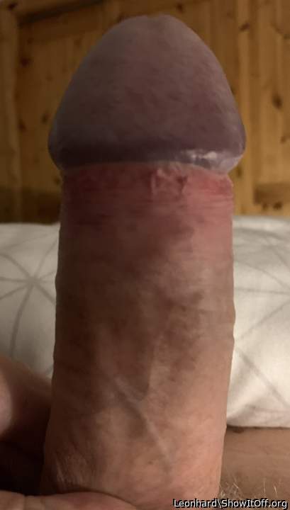 Beautiful head 
