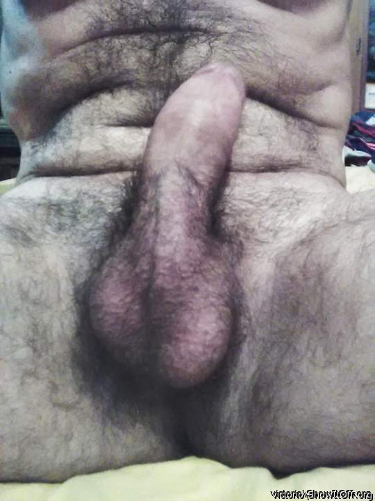 Photo of a middle leg from victorio