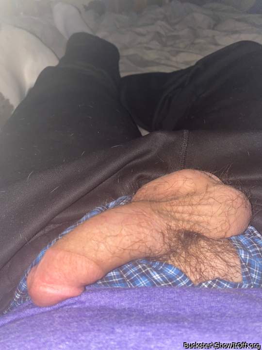 I would just love to suck on those nuts!!!