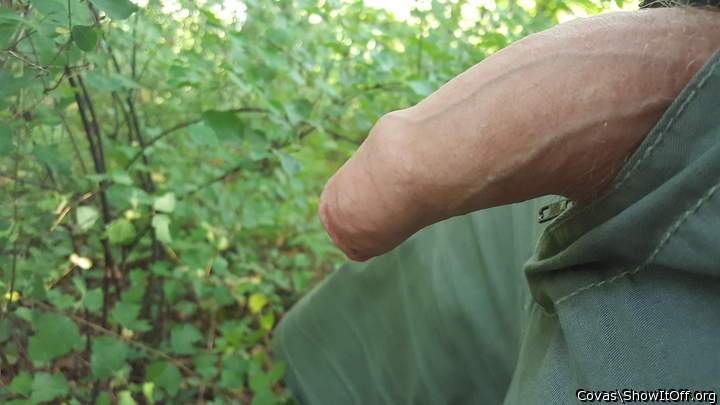  H�bsche Sp�rnase � sucht er nach Tr�ffeln ??! 