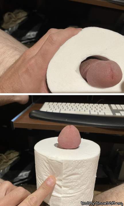 Toilet Paper Tube Test - Fail!