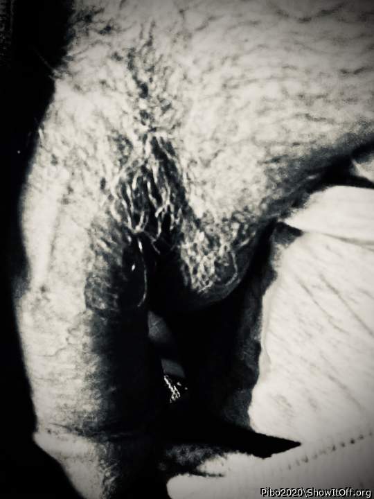 Photo of a drain pipe from Pibo2020