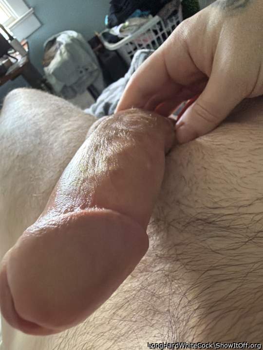 Photo of a member from LongHardWhiteCock