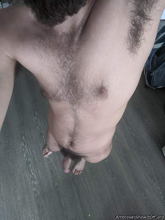 Bird eye view