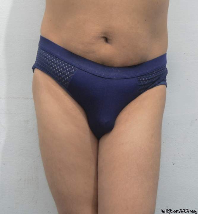 Photo of a lizard from imi