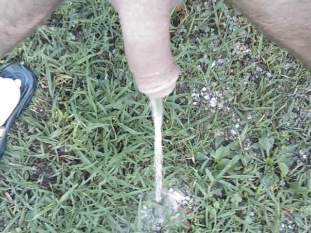Photo of a middle leg from yardog319