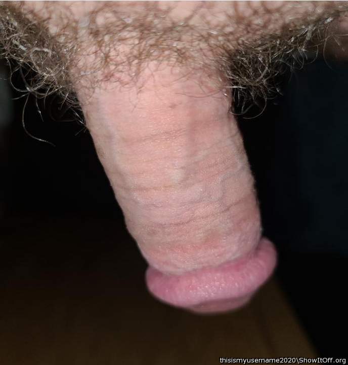 Lonely Cock for Comments