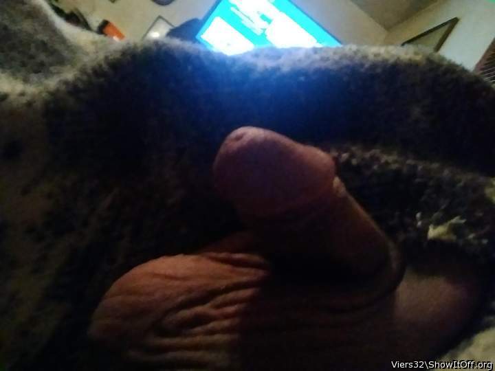 Photo of a python from Viers32