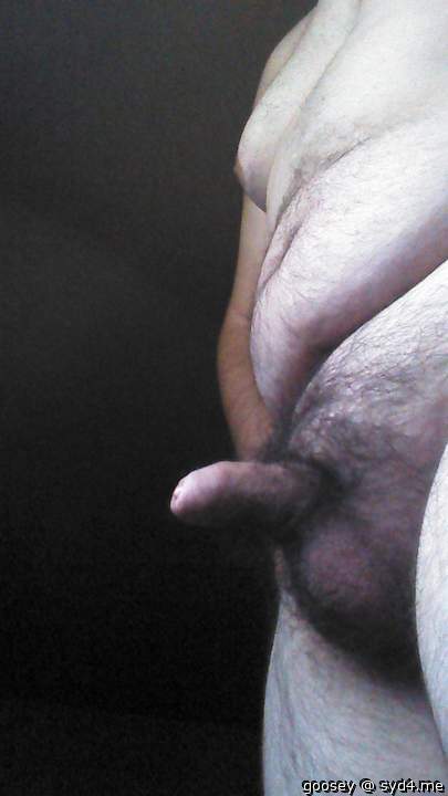 Photo of a penile from Goosey