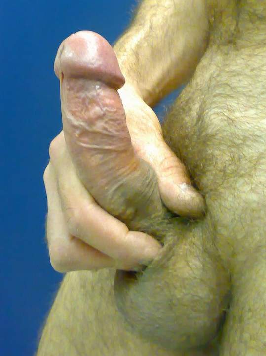 Photo of a pecker from roccotano