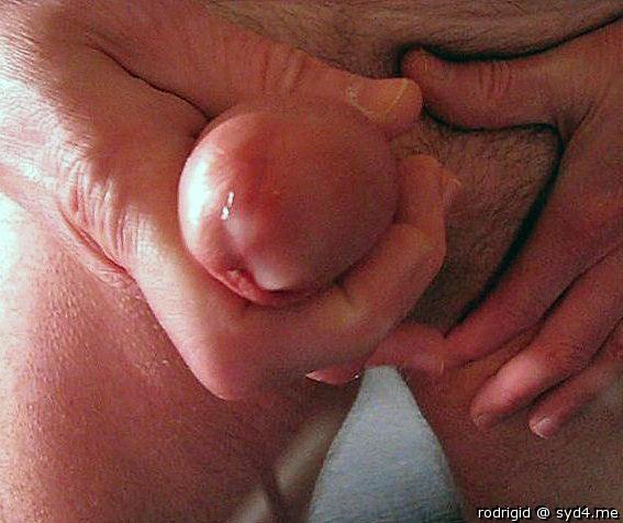 A tasty treat for you.