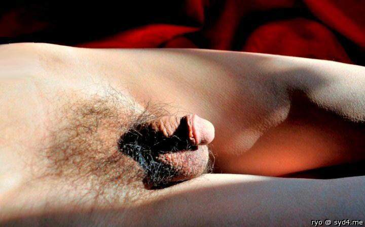 Photo of a phallus from ryo