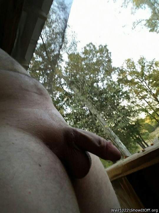 Photo of a prick from Wes1022