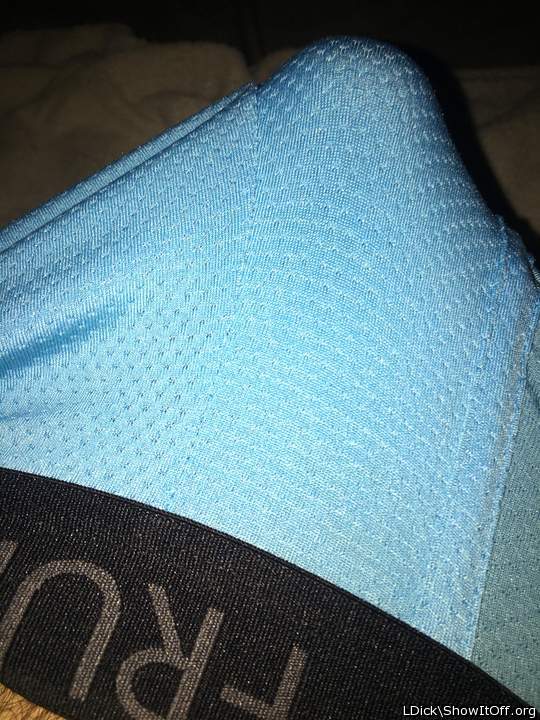 Photo of a short leg from LDick