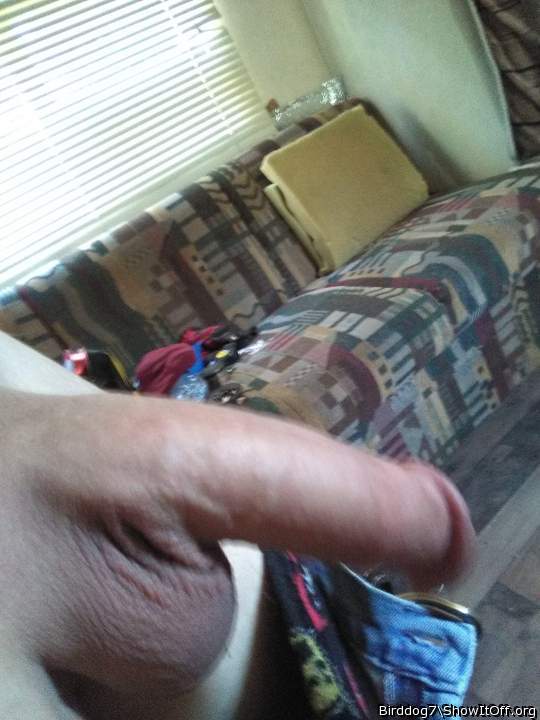 Photo of a prick from Birddog7
