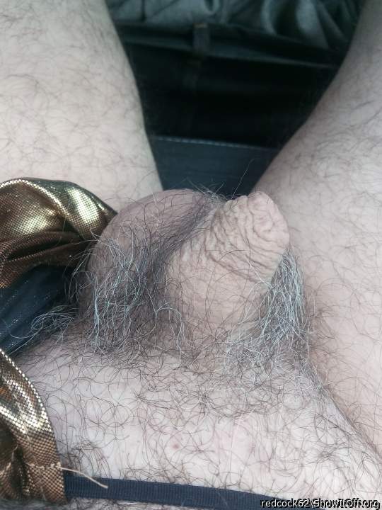 Photo of a lizard from redcock62