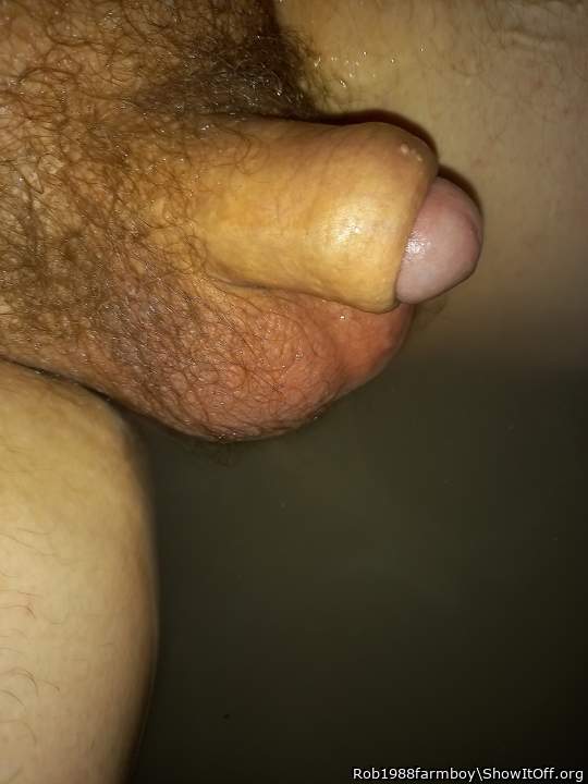 Photo of a middle leg from Rob1988farmboy