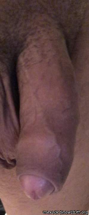 Photo of a cock from mexock
