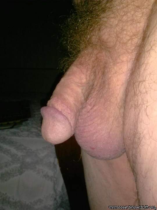 Who wants to snuggle on my pillows?