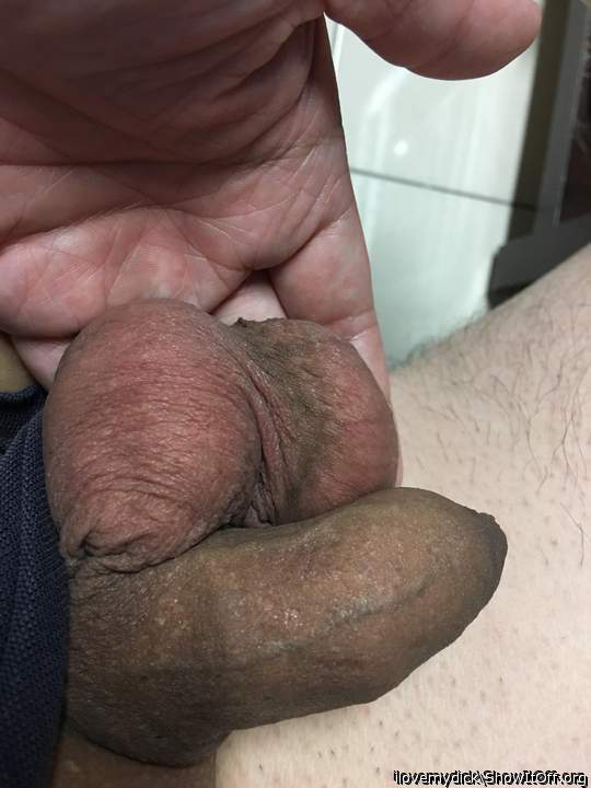 Photo of a bat from ilovemydick