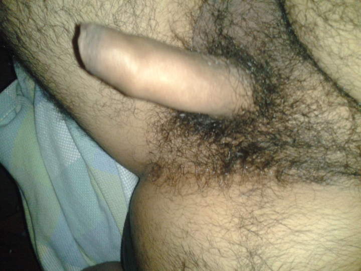 Photo of a weasel from Hairychub2566