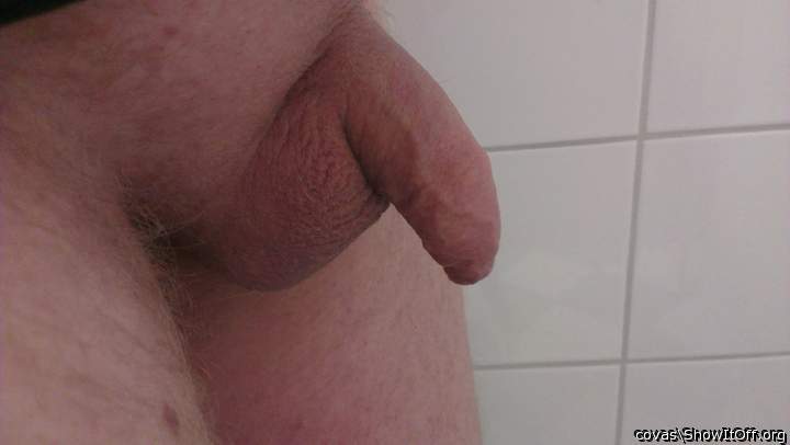 Photo of a horn from covas