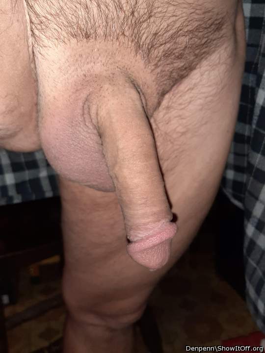 Photo of a penile from Denpenn