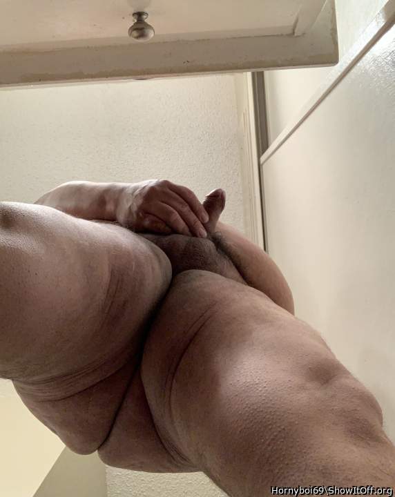Photo of a cavalier from Hornyboi69